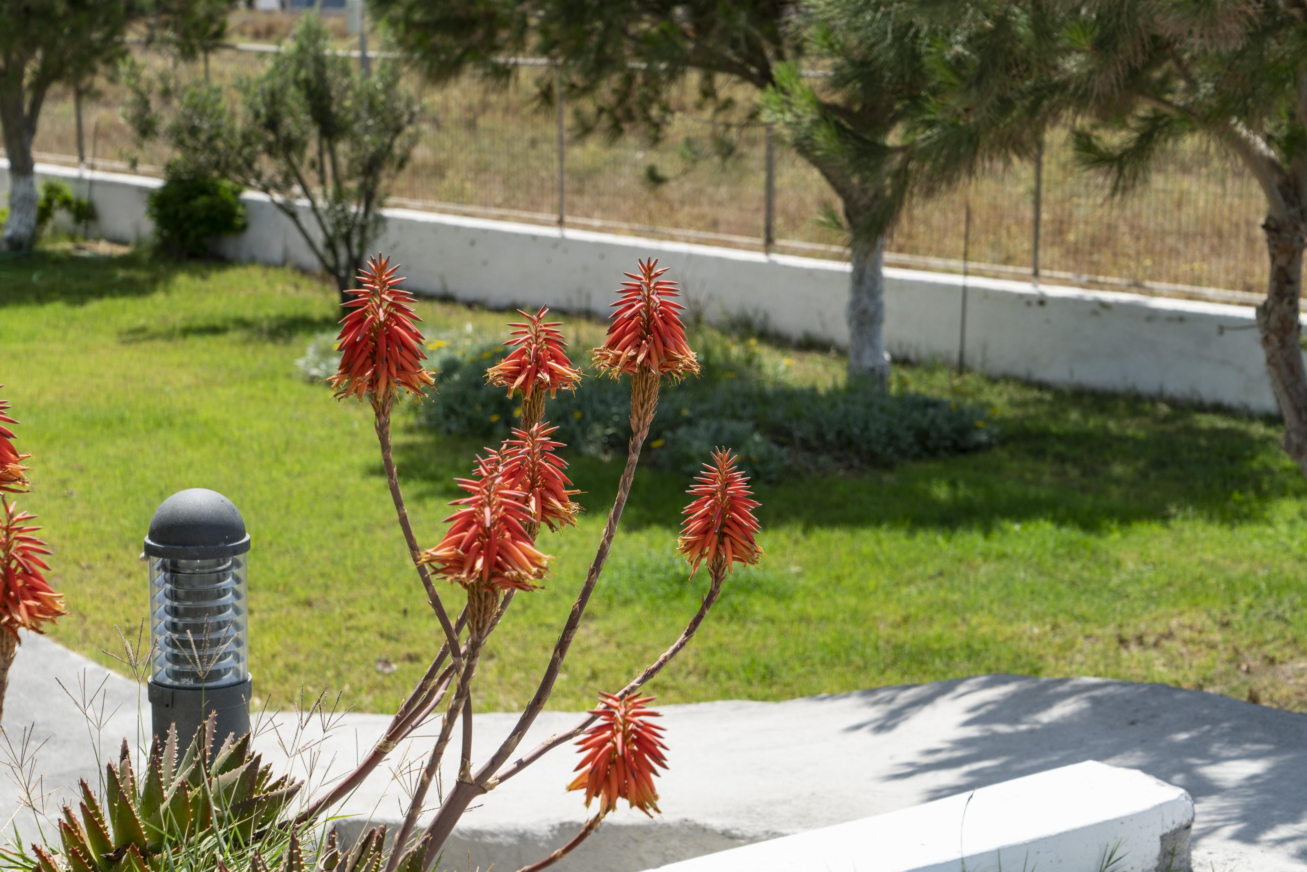 Bella Santorini Hotel Agios Georgios  Exterior photo